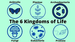 Basic Taxonomy6 Kingdoms of LifeClassification [upl. by Ivo]