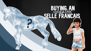 Buying a SELLE FRANÇAIS  Star Stable  Mane styles and animations  Lara Turtlepaw [upl. by Lipkin682]