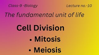 Cell divisionwith Mitosis and Meiosis in short concept science biology [upl. by Strader52]