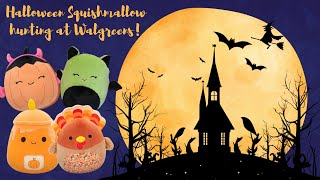 Halloween Squishmallow Hunting at Walgreens Part 2 [upl. by Nohsed]