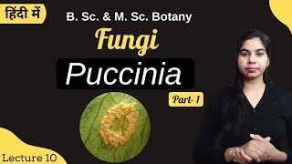 Fungi  Puccinia Part1  in Hindi  Botany  B Sc amp M Sc [upl. by Wei]