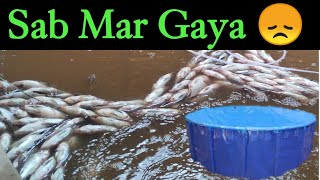 Biofloc fish farming  SAB mar Gaya 😭 [upl. by Fabron]