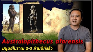 Australopithecus Afarensis มนุษย์โบราณ 2939 ล้านปีที่แล้ว [upl. by Novikoff]