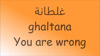 Saad Lamjarred Ghaltana Lyrics Video with English [upl. by Petta]