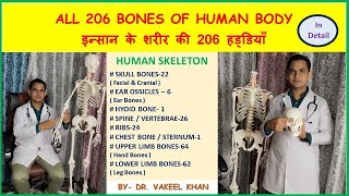 ALL 206 BONES OF HUMAN BODY  इन्सान के शरीर की सभी 206 हड्डियाँ  HUMAN SKELETON IN HINDI anatomy [upl. by Zobe]