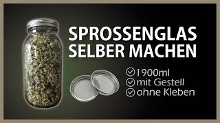 Keimglas für Sprossen selber machen  Sprossen im Glas ziehen [upl. by Netram]