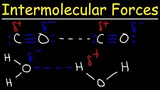 Intermolecular Forces  Hydrogen Bonding Dipole Dipole Interactions  Boiling Point amp Solubility [upl. by Kired]