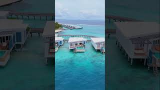 Paradise couples maldives luxurytravel luxuryhotel hotel [upl. by Luedtke]