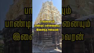 சோழபுரத்தின் quotமக்கள் ஆலயம்quot Vertical Video Tamilnadu History  Rajapalayam minutetraveller Tamil [upl. by Delsman]