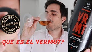 ¿Qué es el Vermut Probamos el de Bodegas Robles [upl. by Mccullough]