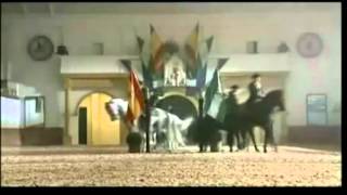 EJERCICIOS DE DOMA CLÁSICA I  FUNDACIÓN REAL ESCUELA ANDALUZA DEL ARTE ECUESTRE [upl. by Aehtorod607]