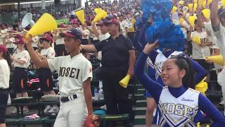 【2019夏甲子園】準々決勝！八戸学院光星応援♫吹奏楽部、チアリーダー『LUSTERSラスターズ』野球部の応援が凄い！！明石商業高校戦！ [upl. by Schacker]