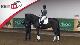 Das Pferd richtig warm machen  Jean Bemelmans in Hannover Teil 1a  Die Alten Meister [upl. by Aara]