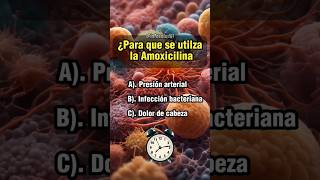 Para que sirve la Amoxicilina quiz sabiasque salud medicina farmacia medicamentos [upl. by Hausmann710]