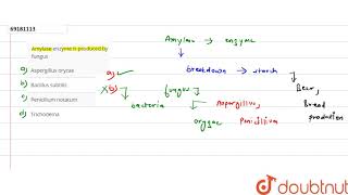 Amylase enzyme is produced by fungus [upl. by Merfe263]