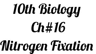 Nitrogen Cycle Nitrogen FixationCh1610th Biology [upl. by Scrogan58]