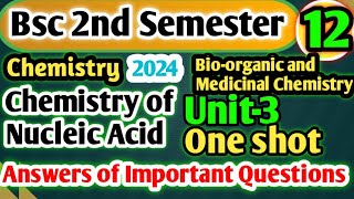 Chemistry of Nucleic Acid  BSc 2nd Semester Chemistry One shot bsc2ndsemester yourbscguide bsc [upl. by Harry330]