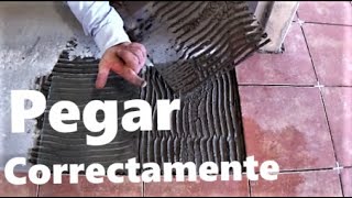 Colocación de baldosas Cómo pegar correctamente ceramica [upl. by Jasper959]