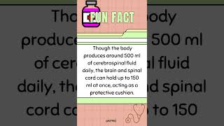 🧠 💧 Maximum Fluid Capacity of Your Brain—Can You Guess It mededtrivia brainteasers brainfacts [upl. by Browne]