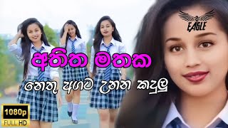 නෙතු අගට උනන කදුලු [upl. by Airotel648]