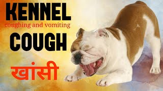 Understanding Kennel Cough Symptoms Treatment and Prevention [upl. by Enaerb]