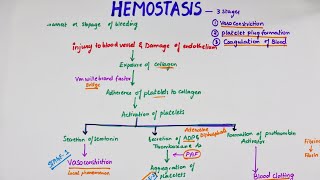 Hemostasis  Easy Flowchart  Physiology [upl. by Scrope217]