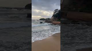 Central Coast Terrigal 🔥🏖️ nsw australia aussietrip [upl. by Ybok]