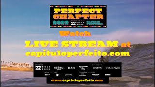 Perfect Chapter  Live Stream EN [upl. by Hoang]