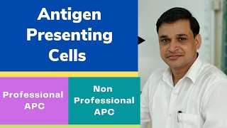 Antigen presenting cells and their types [upl. by Madelaine]