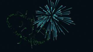 Fireworks animation [upl. by Nwahsirhc231]