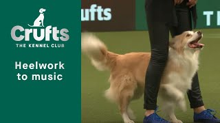 Heelwork To Music  Freestyle International Competition Part 3  Crufts 2023 [upl. by Auqenaj]