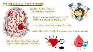 Brain Hemorrhage  Epidural Subdural Subarachnoid Intracerebral  Concisely Described [upl. by Truelove]