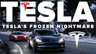 Teslas Frozen Media NIGHTMARE  Heres What Really Happened [upl. by Sinaj]