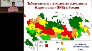 18022017  Клинические маски боррелиоза [upl. by Giarg]