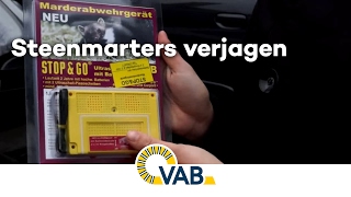 De vraag van Joni wat kan ik doen tegen steenmarters in de wagen [upl. by Yrtneg615]