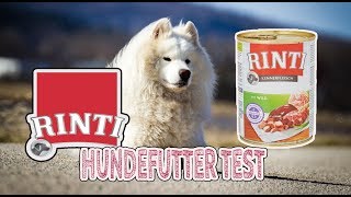 RINTI Kennerfleisch Hundefutter im Test  Nassfutter für Hunde  JulisTierfuttertest 10  Review [upl. by Annaerdna]