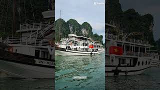 Halong Bay Vietnam travel explore اكسبلور halongbay vietnam [upl. by Callie467]