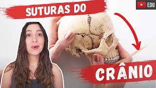 Suturas do crânio  Anatomia etc [upl. by Iatnahs838]