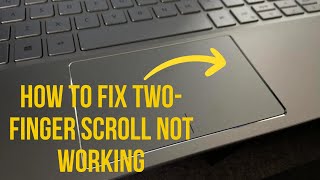 How To Fix TwoFinger Scroll Not Working On Windows 10  11 [upl. by Sommer]