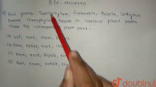 Four genera Taeniophyllum Euphorbia Acacia and Lathyrus possess chlorophyllous tissues in vari [upl. by Araid]