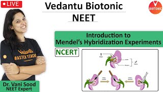 Introduction to Mendelian laws of inheritance  Principles of Inheritance  Vedantu Biotonic [upl. by Oicaroh]