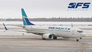 WestJet 737 800  Premium Class  Winnipeg YWG to Toronto YYZ  TRIP REPORT [upl. by Helve225]