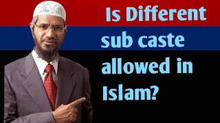 Is Different sub caste allowed in Islam [upl. by Fenelia505]