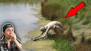 Top 3 SCARIEST runins with unknown predators  Missing 411 Part 14 [upl. by Akinihs]