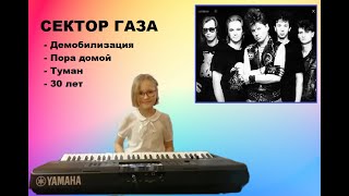 Сектор газа Демобилизация Пора домой Туман 30 лет игра на синтезаторе YAMAHA PSRE463 [upl. by Jak]