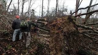 Helene Devastation and Repair on AT Roan Mountain TN 111524 [upl. by Anerat]