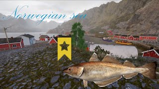 Norwegian Sea trophy whiting Russian Fishing 4  Morze Norweskie trofka witlinka Russian Fishing 4 [upl. by Airual]