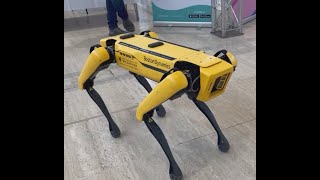 Boston Dynamics dancing dogs [upl. by Kinsman737]