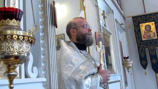 Orthodox Sermon  Theophany [upl. by Purpura]