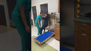 Human acting like dogs act at the Vet [upl. by Godwin399]